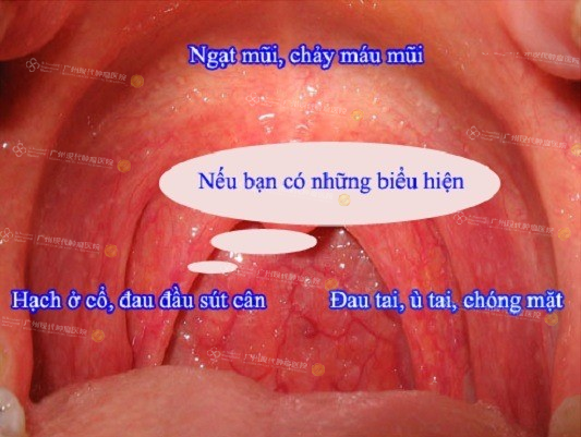 1-081029365.png 8fb82c26-6220-4f28-827a-e4bae44477f9.png