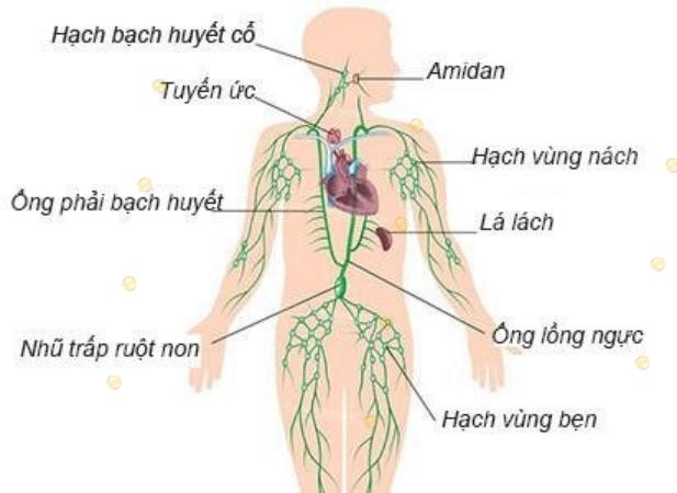 1-083120187.png image.png